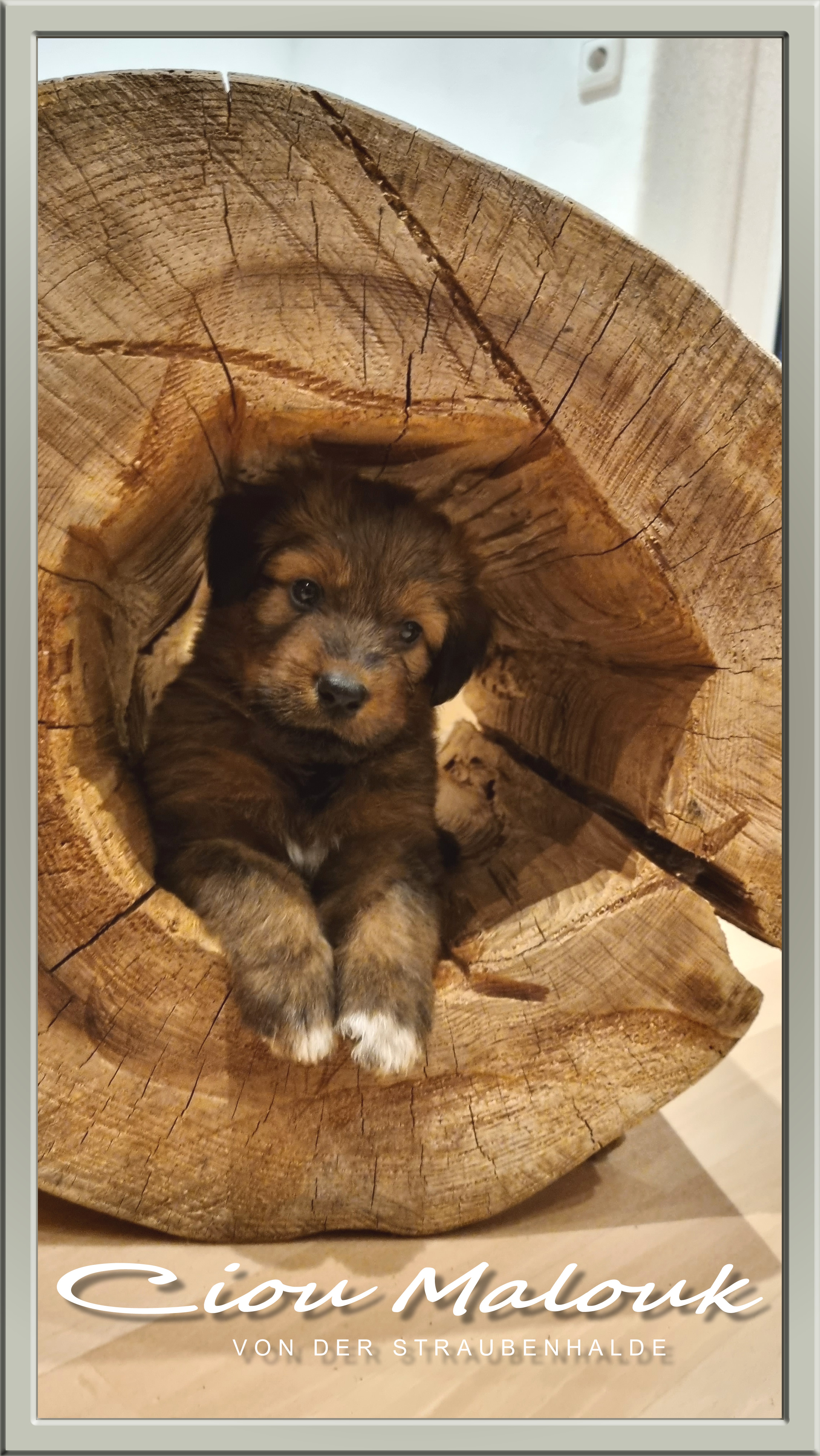 Wäller von der Straubenhalde